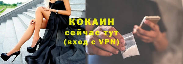 СК Алексин