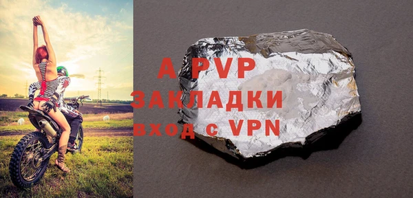 СК Алексин