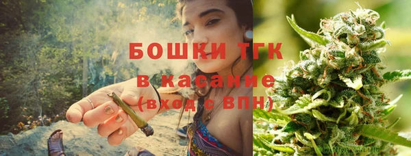 прущий лед Алзамай